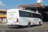 Expresso Palmares 40 na cidade de Osório, Rio Grande do Sul, Brasil, por Daniel Espindola Dorneles. Número da foto: #5799717.