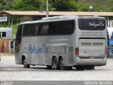 Rodrigues Transportes 30920 na cidade de Manhuaçu, Minas Gerais, Brasil, por Gilberto Martins. Número da foto: #5799140.