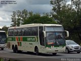 Empresa Gontijo de Transportes 21170 na cidade de Pindamonhangaba, São Paulo, Brasil, por Alex Aparecido. Número da foto: #5811353.