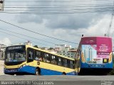 Trancid - Transporte Cidade de Divinópolis 103 na cidade de Divinópolis, Minas Gerais, Brasil, por Marcos Paulo de Souza Alves. Número da foto: #5812112.