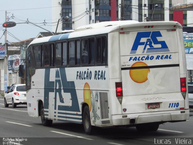 Falcão Real 1110 na cidade de Feira de Santana, Bahia, Brasil, por Lucas Vieira. ID da foto: 5815743.