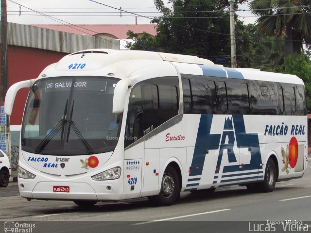 Falcão Real 4210 na cidade de Feira de Santana, Bahia, Brasil, por Lucas Vieira. Número da foto: #5815730.