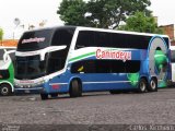 Canindeyu 21360 na cidade de Asunción, Paraguai, por Carlos Kircheim. Número da foto: #5818105.