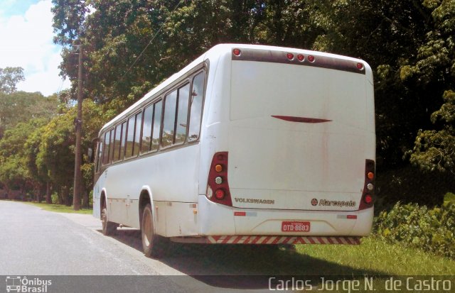 Ônibus Particulares OTD8683 na cidade de Belém, Pará, Brasil, por Carlos Jorge N.  de Castro. Número da foto: #5778903.
