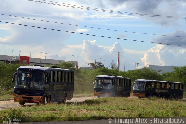 Cidos Bus 310 na cidade de Caruaru, Pernambuco, Brasil, por Thiago Alex. Número da foto: #5820933.