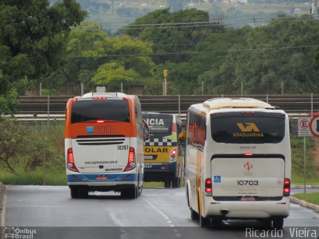 Viação Araguarina 10703 na cidade de Brasília, Distrito Federal, Brasil, por Ricardo Vieira. ID da foto: 5830600.