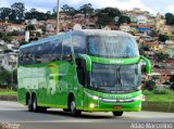 Pássaro Verde 12124 na cidade de Belo Horizonte, Minas Gerais, Brasil, por Adão Raimundo Marcelino. Número da foto: #5830327.