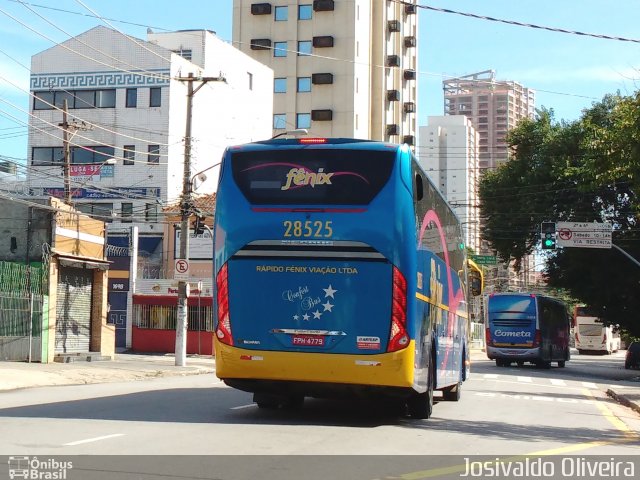 Rápido Expresso Fênix Viação 28525 na cidade de São Paulo, São Paulo, Brasil, por Josivaldo Oliveira. Número da foto: #5831499.