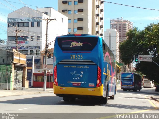 Rápido Expresso Fênix Viação 28525 na cidade de São Paulo, São Paulo, Brasil, por Josivaldo Oliveira. ID da foto: 5831499.