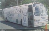 Autobuses sin identificación - Costa Rica AB 3423 na cidade de , por Luis Diego Sánchez. Número da foto: #5835378.