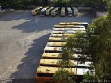 Empresa Gontijo de Transportes 14955 na cidade de Viana, Espírito Santo, Brasil, por Gilberto Martins. Número da foto: #5837244.