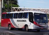 Rouxinol 1710 na cidade de Belo Horizonte, Minas Gerais, Brasil, por Luís Carlos Santinne Araújo. ID da foto: :id.