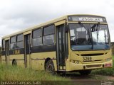 Escolares 3269 na cidade de Campo Alegre, Santa Catarina, Brasil, por Gustavo Campos Gatti. Número da foto: #5837450.