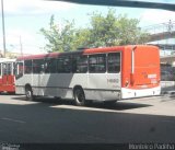 Rondônia Transportes 0108002 na cidade de Manaus, Amazonas, Brasil, por Monteiro Padilha. Número da foto: #5838247.
