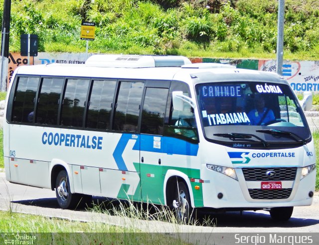 Coopertalse 043 na cidade de Aracaju, Sergipe, Brasil, por Sergio Marques . Número da foto: #5781978.
