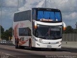 Turismo Ciucio 555 na cidade de Gravataí, Rio Grande do Sul, Brasil, por Mauricio Peres Rodrigues. Número da foto: #5780438.