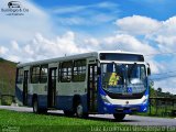 Autoviária Paraense 118 na cidade de Juiz de Fora, Minas Gerais, Brasil, por Luiz Krolman. Número da foto: #5841682.