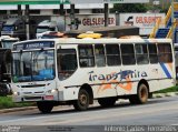Trans Lilita 0326 na cidade de João Monlevade, Minas Gerais, Brasil, por Antonio Carlos Fernandes. Número da foto: #5842233.