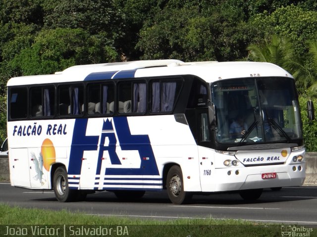 Falcão Real 1160 na cidade de Salvador, Bahia, Brasil, por João Victor. Número da foto: #5782461.
