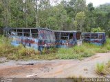 Transprimo 7955 na cidade de Conceição do Castelo, Espírito Santo, Brasil, por Gilberto Martins. Número da foto: #5786359.