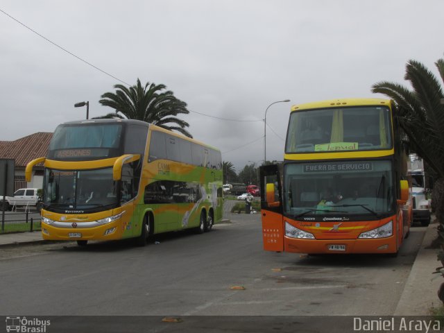 Buses Tepual  na cidade de , por Araya Daniel . ID da foto: 5788427.