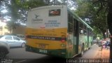 Bettania Ônibus 30183 na cidade de Belo Horizonte, Minas Gerais, Brasil, por Edmar Junio. Número da foto: #:id.