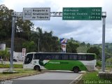Pássaro Verde 29001 na cidade de Manhuaçu, Minas Gerais, Brasil, por Gilberto Martins. Número da foto: #5788819.