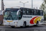 Flecha Amarilla 7339 na cidade de Morelia, Michoacán, México, por Omar Ramírez Thor2102. Número da foto: #5788403.