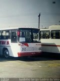 Play Bus Turismo 250 na cidade de São Paulo, São Paulo, Brasil, por Galdinho Sergio Galdino da Silva. Número da foto: #5789534.