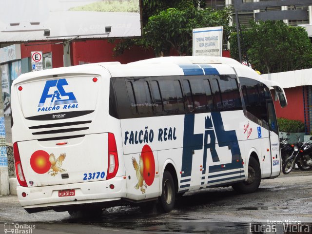 Falcão Real 23170 na cidade de Feira de Santana, Bahia, Brasil, por Lucas Vieira. Número da foto: #5792468.