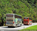 Savannah Tur 4085 na cidade de Petrópolis, Rio de Janeiro, Brasil, por Victor Henrique. Número da foto: #5795454.