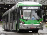 Viação Santa Brígida 1 1040 na cidade de São Paulo, São Paulo, Brasil, por Rodrigo  Aparecido. Número da foto: #5795094.