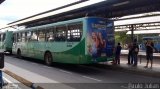 Viação Cruzeiro > Viação Sidon 30204 na cidade de Belo Horizonte, Minas Gerais, Brasil, por Paulo Julian. Número da foto: #5848130.