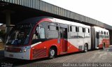 Itajaí Transportes Coletivos 2016 na cidade de Campinas, São Paulo, Brasil, por Matheus Gabriel dos Santos. ID da foto: :id.