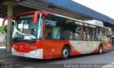 Itajaí Transportes Coletivos 2029 na cidade de Campinas, São Paulo, Brasil, por Matheus Gabriel dos Santos. Número da foto: #5868565.