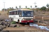 Empresa Lider 41 na cidade de Matões, Maranhão, Brasil, por Joelson  Barros. Número da foto: #5871370.