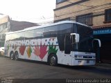 Transportes Castellanos 00 na cidade de Alto Paraíso de Goiás, Goiás, Brasil, por Fernando Gonzalez Garita. Número da foto: #5871422.