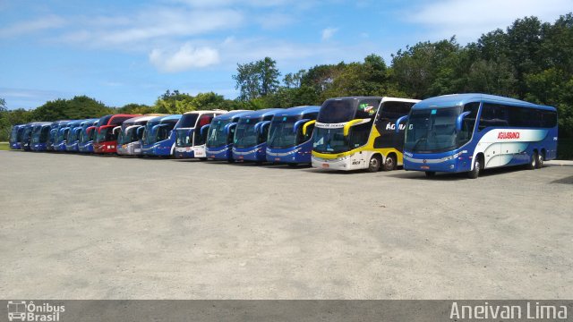 Viação Águia Branca 24450 na cidade de Camaçari, Bahia, Brasil, por Aneivan Lima. Número da foto: #5876114.