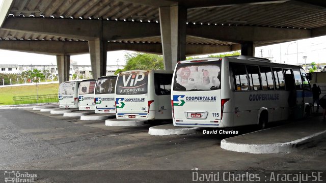 Coopertalse 115 na cidade de Aracaju, Sergipe, Brasil, por David  Souza. ID da foto: 5877971.