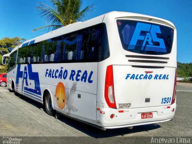 Falcão Real 1501 na cidade de Camaçari, Bahia, Brasil, por Aneivan Lima. ID da foto: 5877689.