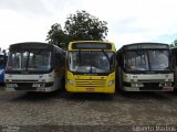 Viação Sudeste 117 na cidade de Marataízes, Espírito Santo, Brasil, por Gilberto Martins. Número da foto: #5878313.