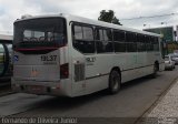 Araucária Transportes Coletivos 19L37 na cidade de Curitiba, Paraná, Brasil, por Fernando de Oliveira Junior. Número da foto: #:id.