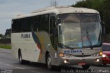 Pluma Conforto e Turismo 6100 na cidade de São José dos Campos, São Paulo, Brasil, por Ricardo Novo de Magalhaes. ID da foto: :id.