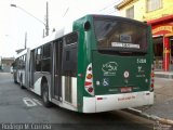 Via Sul Transportes Urbanos 5 2526 na cidade de São Paulo, São Paulo, Brasil, por Jonathan  Aguiar Correa. Número da foto: #5850951.