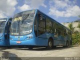 Salvadora Transportes > Transluciana 5652 na cidade de Belo Horizonte, Minas Gerais, Brasil, por Marco  Tulio. Número da foto: #5850783.