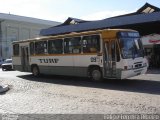 TURF - Transportes Urbanos Rurais Fragata 09 na cidade de Pelotas, Rio Grande do Sul, Brasil, por Felipe Ferreira Ribeiro. Número da foto: #5887106.