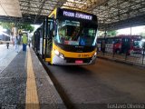 Transunião Transportes 3 6665 na cidade de São Paulo, São Paulo, Brasil, por Gustavo Oliveira. Número da foto: #5888681.