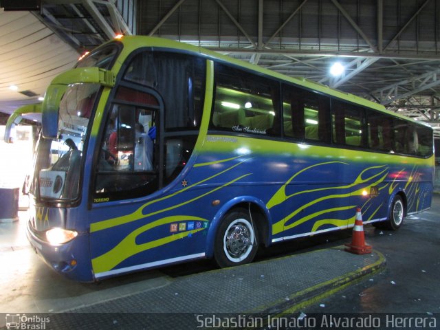 Pullman Setter  na cidade de , por Sebastián Ignacio Alvarado Herrera. Número da foto: #5890456.