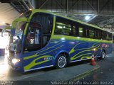 Pullman Setter  na cidade de , por Sebastián Ignacio Alvarado Herrera. Número da foto: #5890456.