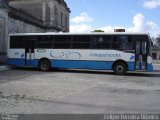 Viação Nossa Senhora Conquistadora 206 na cidade de Pelotas, Rio Grande do Sul, Brasil, por Felipe Ferreira Ribeiro. Número da foto: #5890039.